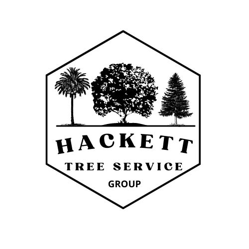 number one arborist in canberra