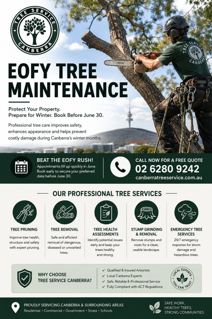 tree removal canberra