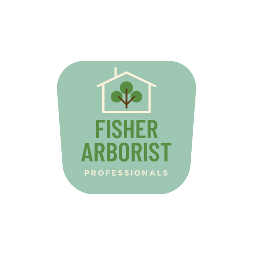 number one tree pruning in canberra