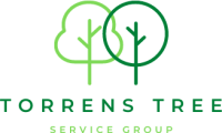 logo-torrens